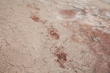 Parça yakınındaki bir nehir yatağı