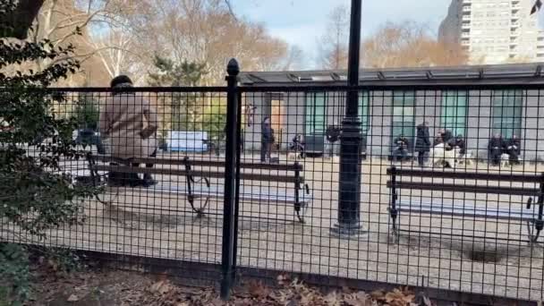 Una Carrera Perros Operada Por Comunidad Washington Square Park Greenwich — Vídeos de Stock