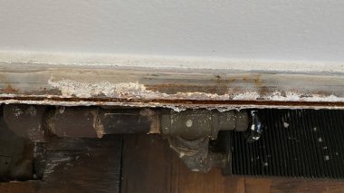 Radyatör şaşırtıcıları