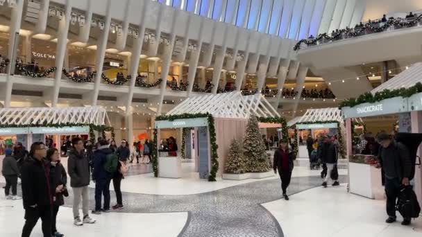 クリスマスには世界貿易センターオキュラスの1階で装飾品や人々が歩いています — ストック動画
