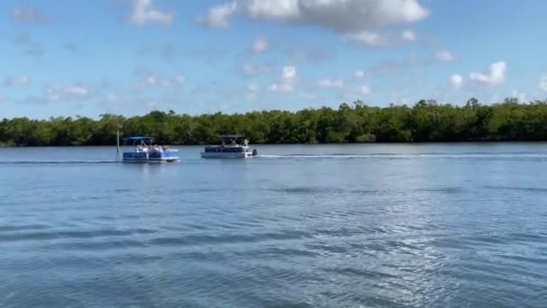 Fort Myers Plajı Florida Back Bay Estero Körfezi Keyifli Bir — Stok video
