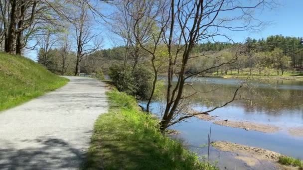 Montanha Lago Cercado Por Árvores Trilha Criando Uma Atmosfera Relaxante — Vídeo de Stock