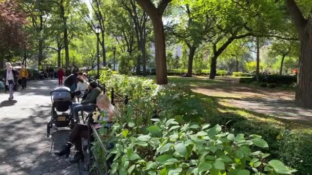 New York Usa Травня 2020 Union Square Популярний Міський Парк — стокове відео