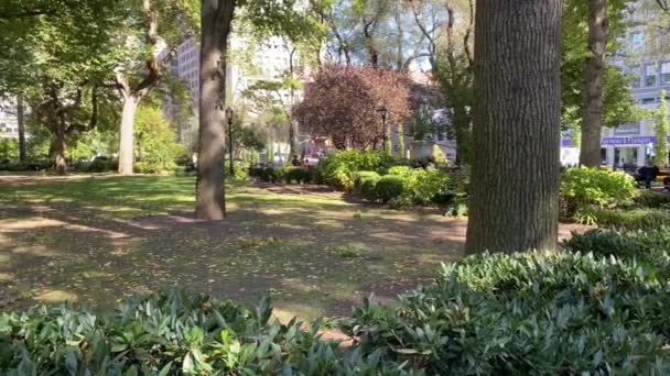 Nowy Jork Usa Maja 2020 Wnętrze Union Square Park Dwoma — Wideo stockowe
