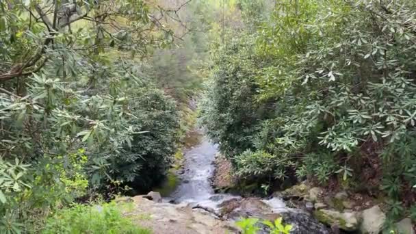 Arroyo Montañoso Que Cruza Las Rocas Continúa Nivel Inferior Para — Vídeos de Stock