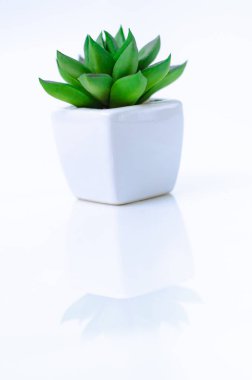 Beyaz arkaplandan izole edilmiş nesneyi kavra.