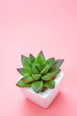 Beyaz arkaplandan izole edilmiş nesneyi kavra.