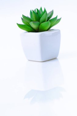 Beyaz arkaplandan izole edilmiş nesneyi kavra.