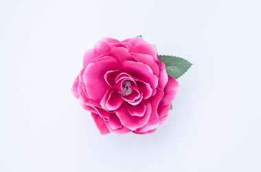 Güzel Çiçekler arka planı