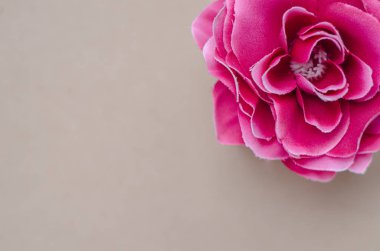 Güzel Çiçekler arka planı