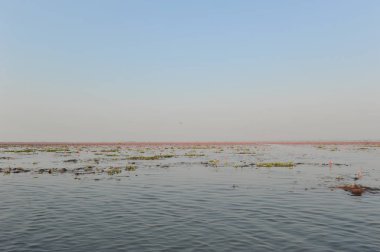 Redlotussea Nong Han Kumphawapi udonthani kuzeydoğu Tayland