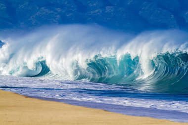 Hawaii sahillerinde güzel dalgalar
