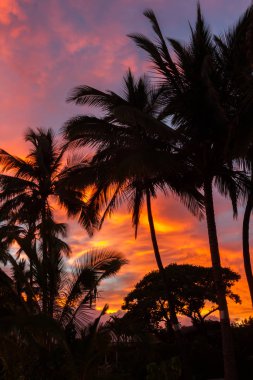Oahu Hawaii 'nin kuzey kıyısında güzel sahil gündoğumu