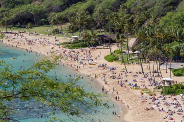 Oahu Hawaii adasındaki Hanauma Körfezi plajında turist kalabalığı.