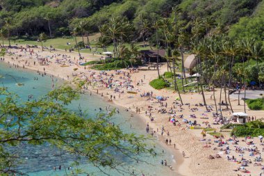 Crowd of tourists at Hanauma Bay beach on the island of Oahu Hawaii clipart