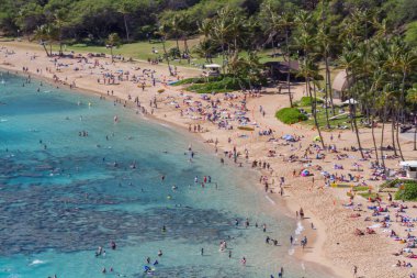 Oahu Hawaii adasındaki Hanauma Körfezi plajında turist kalabalığı.