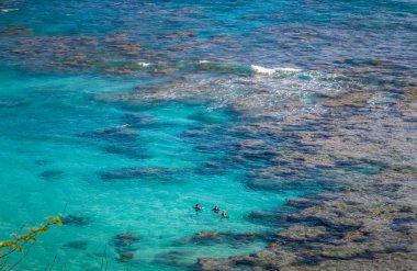 İnsanlar Hawaii 'deki Oahu adasındaki Hanauma Koyu' nda şnorkelle yüzüyor.