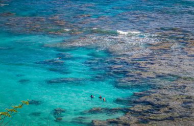 People snorkeling at Hanauma Bay on the island of Oahu In Hawaii clipart