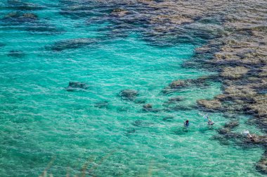 İnsanlar Hawaii 'deki Oahu adasındaki Hanauma Koyu' nda şnorkelle yüzüyor.