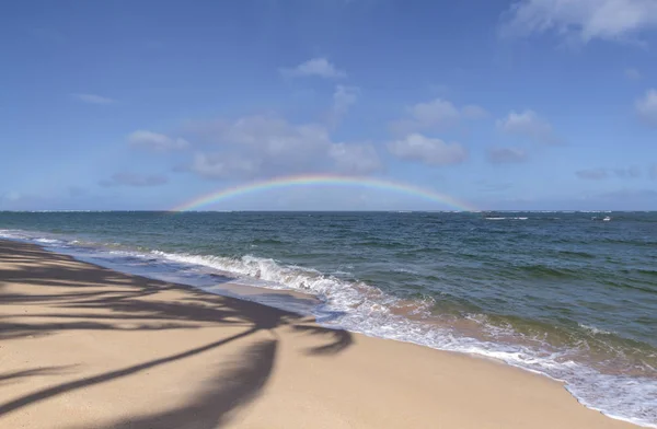 Arco Iris Playa Hawaii Con Sombra Palmera —  Fotos de Stock