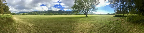 Paisaje Panorámico Rancho Montañas Árboles Hawaii —  Fotos de Stock