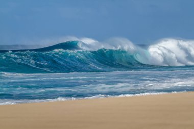 Hawaii sahillerinde güzel dalgalar
