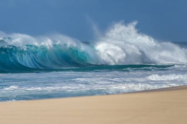 Hawaii sahillerinde güzel dalgalar