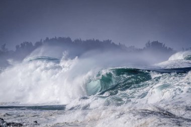 Beautiful Breaking Ocean wave on the north shore of Oahu Hawaii
