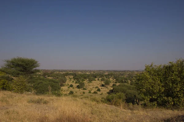 Planície Savana Africana Dia Ensolarado — Fotografia de Stock