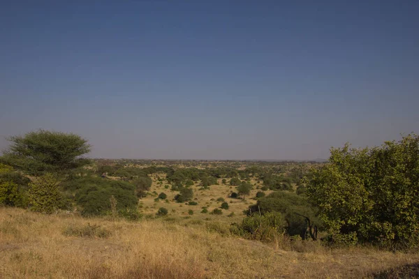 Lądzie Afrykańskiej Sawannie Słoneczny Dzień — Zdjęcie stockowe