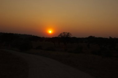 Afrika 'da bozkırda renkli bir gün batımı.