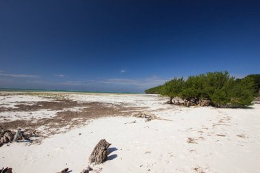 Terk edilmiş beyaz kumsal güneşli bir günde
