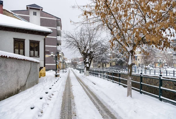 Pittoresca scena invernale lungo il fiume Florina, una piccola città nel nord della Grecia — Foto Stock