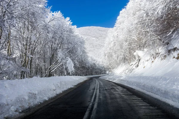 Vigla, Florina, Yunanistan inanılmaz karlı sahne yolda