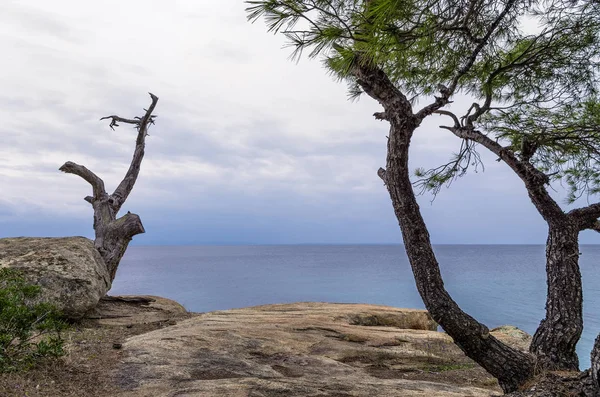 Lindas paisagens à beira-mar sob um céu nublado na Sithonia, Chalkidiki, Grécia — Fotografia de Stock