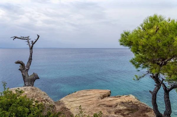 Lindas paisagens à beira-mar sob um céu nublado na Sithonia, Chalkidiki, Grécia — Fotografia de Stock