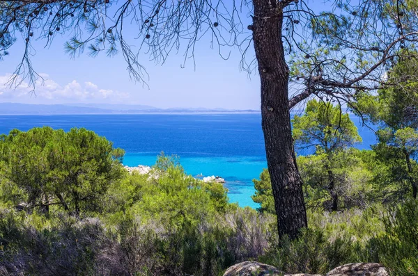 सिथोनिया, चार्किडिकी, ग्रीस मध्ये समुद्राद्वारे आश्चर्यकारक देखावा — स्टॉक फोटो, इमेज