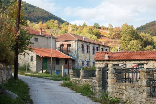 Ulice Hornaté Vesnici Kratero Florině Řecko Starými Kamennými Domy Podzimními — Stock fotografie