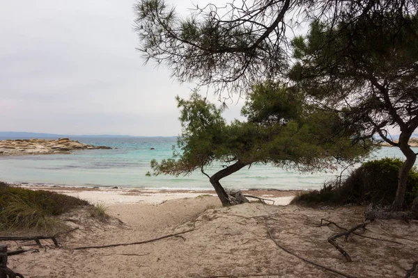 ヴュルヴーヴルー シトニア チャルキディキ ギリシャの海の美しい景色 — ストック写真