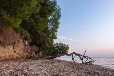 Muhteşem deniz ve gökyüzü renklerde dusk, Sithonia, Chalkidiki, Yunanistan