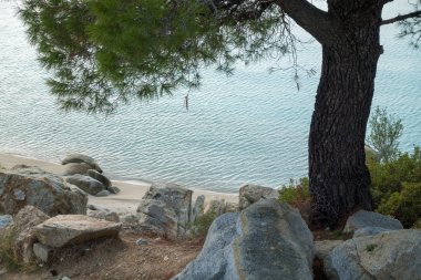 Koviou sahilindeki güzel deniz manzarası, Sithonia, Chalkidiki, Yunanistan