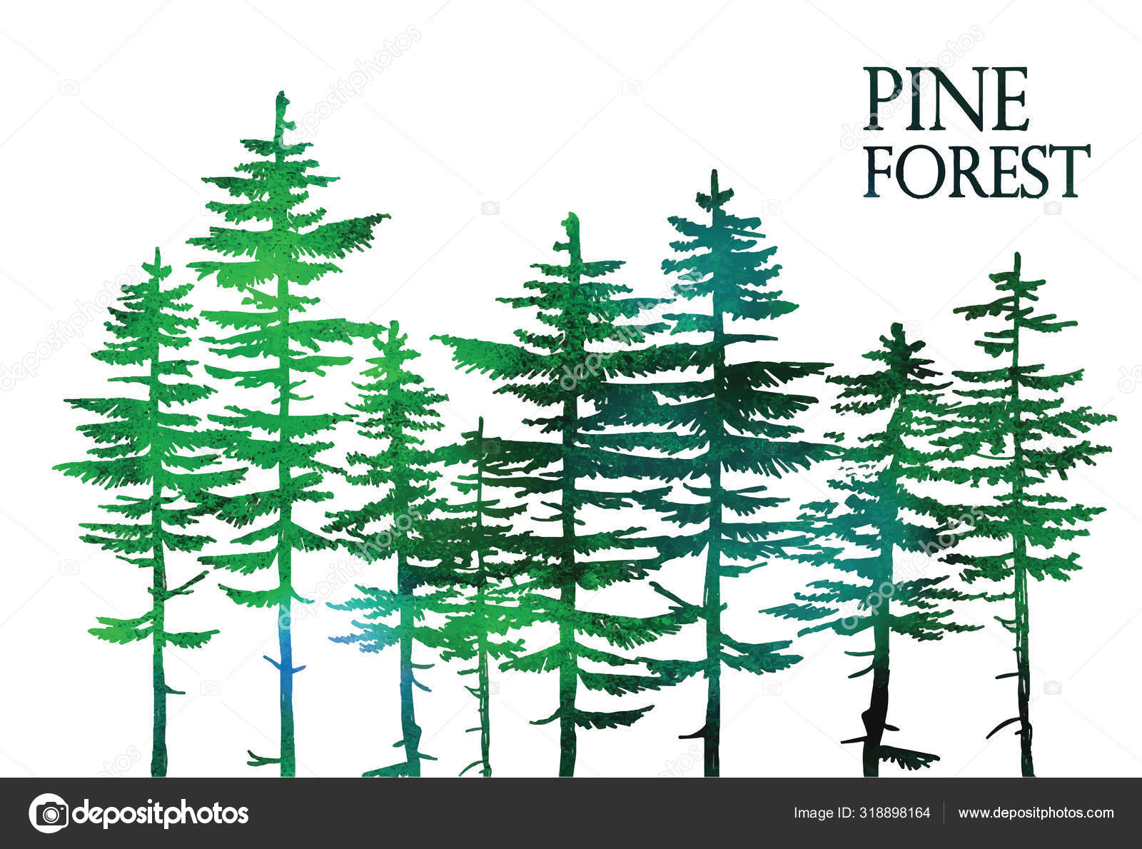 Pine Forest Vector Freehand Drawing Sketch White Background Vector Image By C Rant Goi Vector Stock