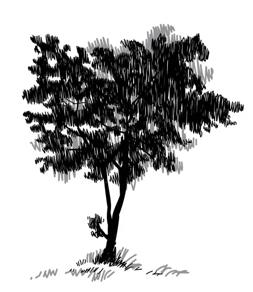Παλιό Δέντρο Δέντρο Αυτοσχέδια Ζωγραφιά Γρήγορη Πένα Σκίτσο — Διανυσματικό Αρχείο