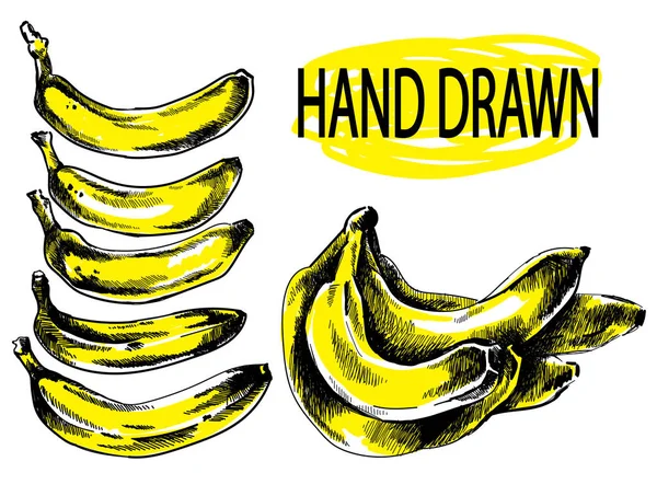 Ensemble Images Bananes Juteuses Mûres Dessin Vectoriel Main Levée — Image vectorielle