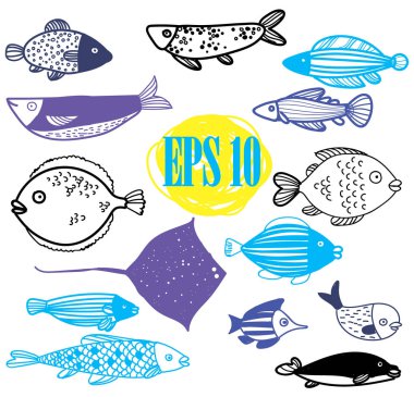 Fish, görüntüler. Klasik tarzda elle çizim yapmak. Çocuk çizimi. Farklı boyutlarda deniz balığı. Boğa, vatoz, levrek.