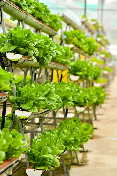 Urban farming technology — Stock Photo, Image