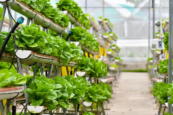 Urban-Farming-Technologie — Stockfoto