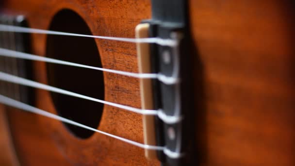 4 string ukulele κοντά — Αρχείο Βίντεο