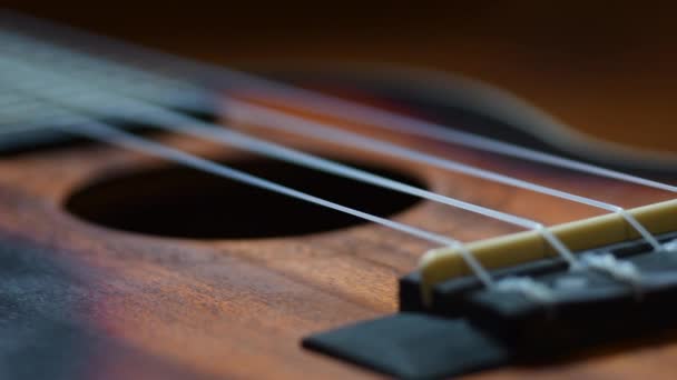 4 string ukulele close up — Stock Video