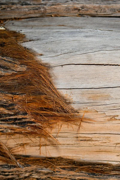 Kahverengi Ağaç Dokusu Arkaplanı — Stok fotoğraf